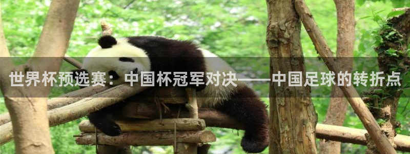 世界杯预选赛：中国杯冠军对决——中国足球的转折点