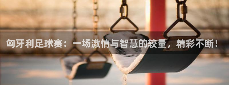匈牙利足球赛：一场激情与智慧的较量，精彩不断！