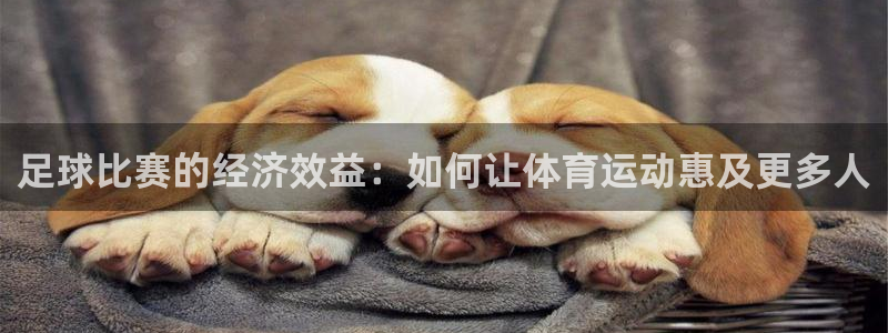  足球比赛的经济效益：如何让体育运动惠及更多人