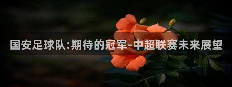  国安足球队:期待的冠军-中超联赛未来展望