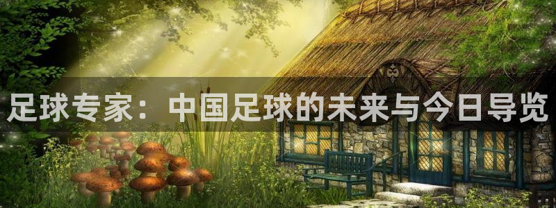 足球专家：中国足球的未来与今日导览