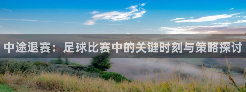 中途退赛：足球比赛中的关键时刻与策略探讨