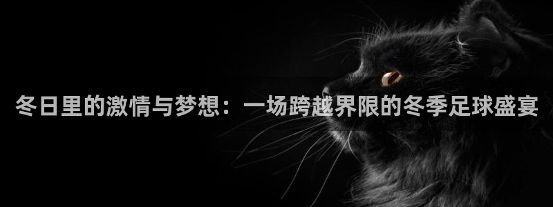 冬日里的激情与梦想：一场跨越界限的冬季足球盛宴
