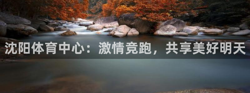  沈阳体育中心：激情竞跑，共享美好明天