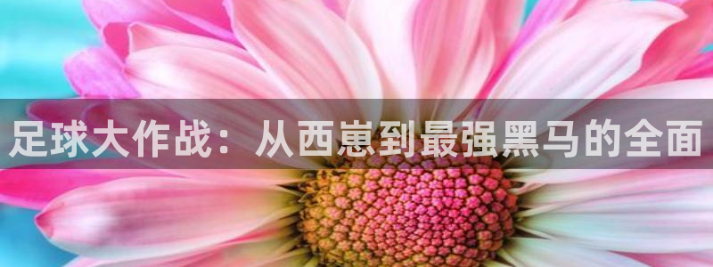 足球大作战：从西崽到最强黑马的全面