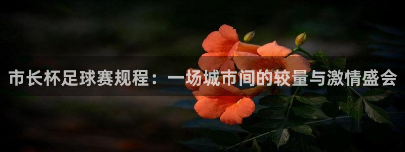  市长杯足球赛规程：一场城市间的较量与激情盛会