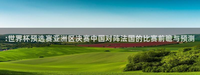  :世界杯预选赛亚洲区决赛中国对阵法国的比赛前瞻与预测