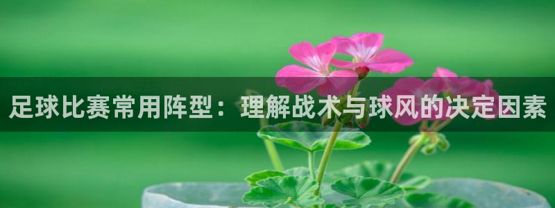 足球比赛常用阵型：理解战术与球风的决定因素