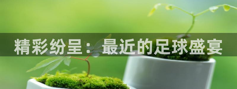 精彩纷呈：最近的足球盛宴