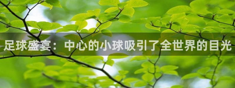 足球盛宴：中心的小球吸引了全世界的目光