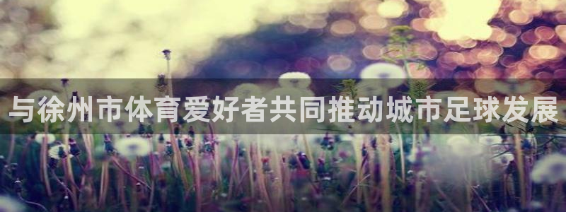与徐州市体育爱好者共同推动城市足球发展
