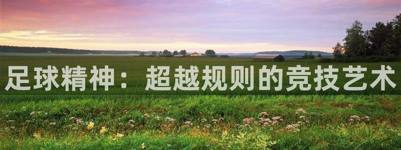  足球精神：超越规则的竞技艺术