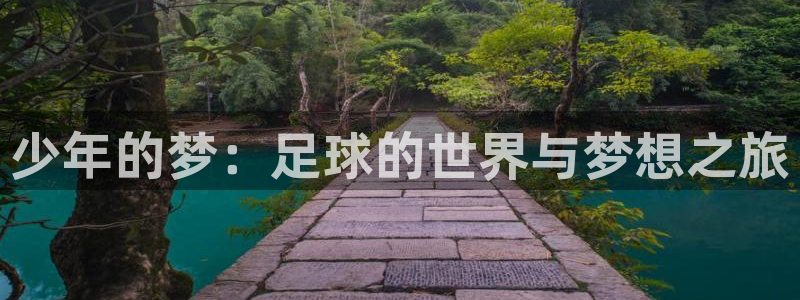  少年的梦：足球的世界与梦想之旅