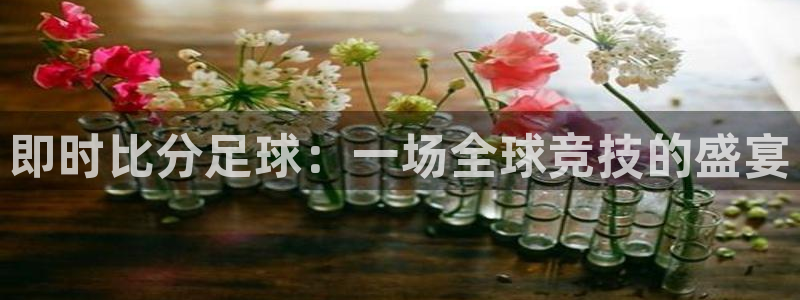  即时比分足球：一场全球竞技的盛宴