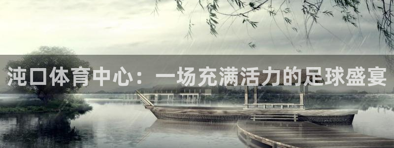  沌口体育中心：一场充满活力的足球盛宴