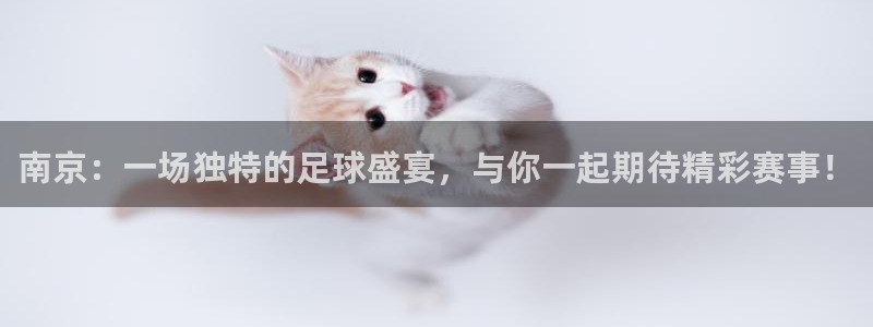  南京：一场独特的足球盛宴，与你一起期待精彩赛事！