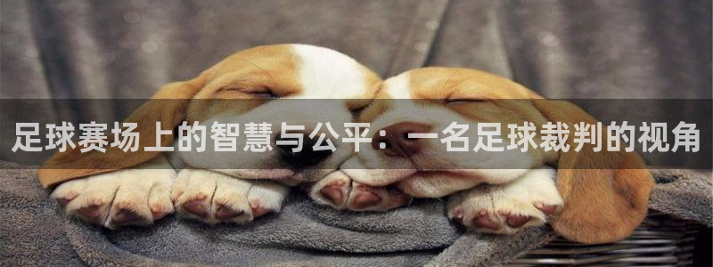 足球赛场上的智慧与公平：一名足球裁判的视角