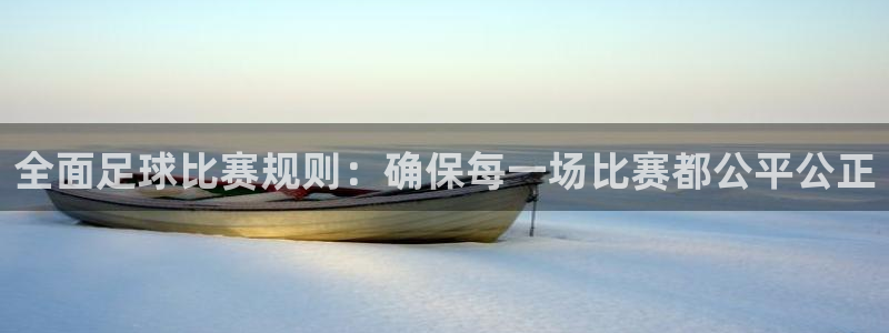  全面足球比赛规则：确保每一场比赛都公平公正