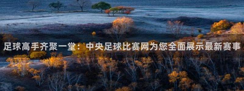 足球高手齐聚一堂：中央足球比赛网为您全面展示最新赛事