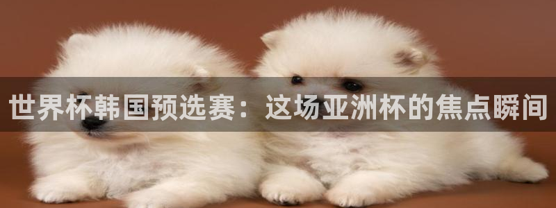  世界杯韩国预选赛：这场亚洲杯的焦点瞬间