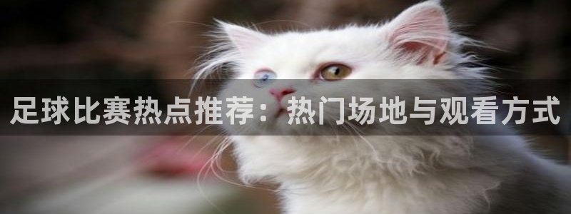 足球比赛热点推荐：热门场地与观看方式