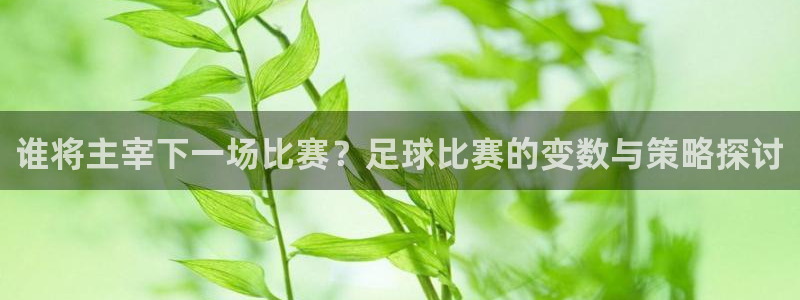  谁将主宰下一场比赛？足球比赛的变数与策略探讨