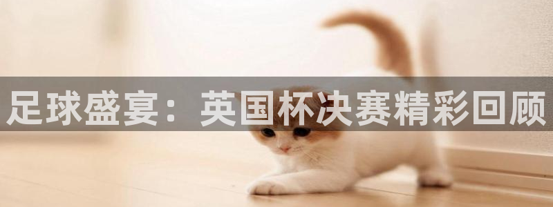 足球盛宴：英国杯决赛精彩回顾