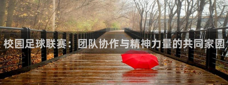 校园足球联赛：团队协作与精神力量的共同家园