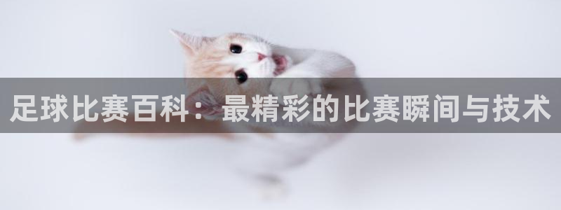 足球比赛百科：最精彩的比赛瞬间与技术