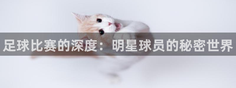 足球比赛的深度：明星球员的秘密世界