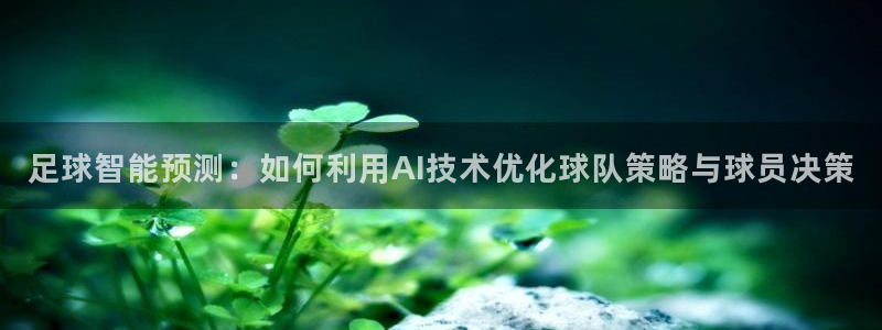 足球智能预测：如何利用AI技术优化球
