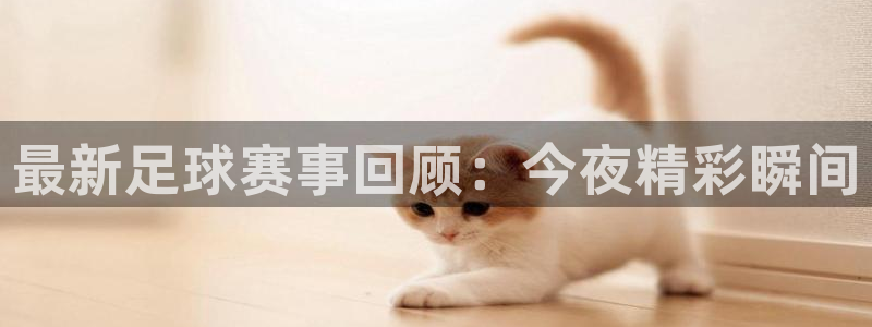 最新足球赛事回顾：今夜精彩瞬间