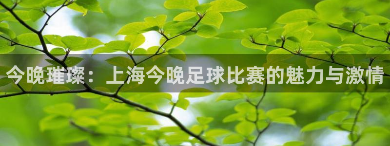 今晚璀璨：上海今晚足球比赛的魅力与激