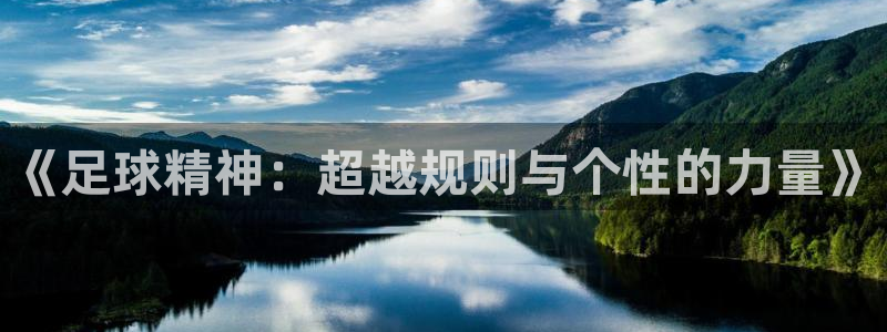 《足球精神：超越规则与个性的力量》