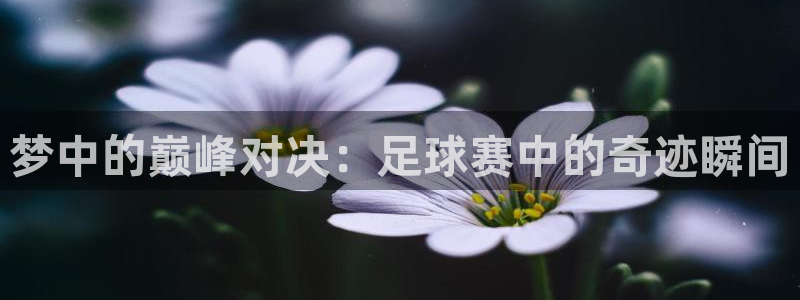 梦中的巅峰对决：足球赛中的奇迹瞬间
