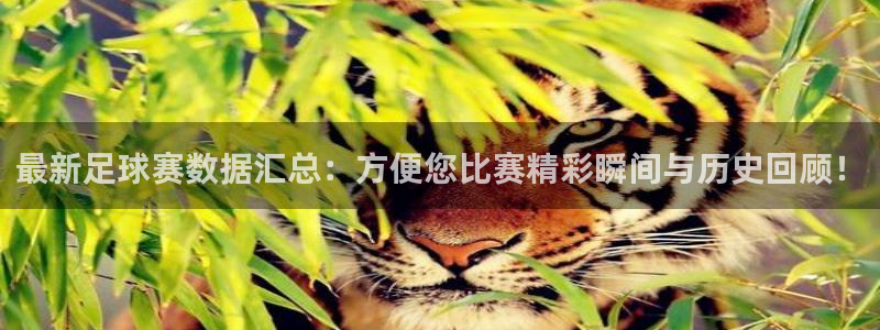 最新足球赛数据汇总：方便您比赛精彩瞬