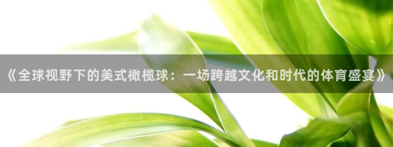 《全球视野下的美式橄榄球：一场跨越文