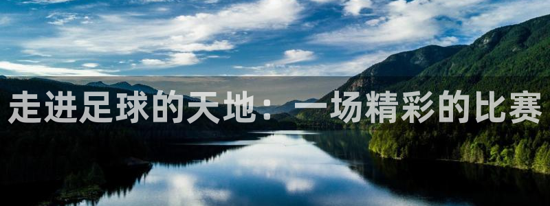 走进足球的天地：一场精彩的比赛