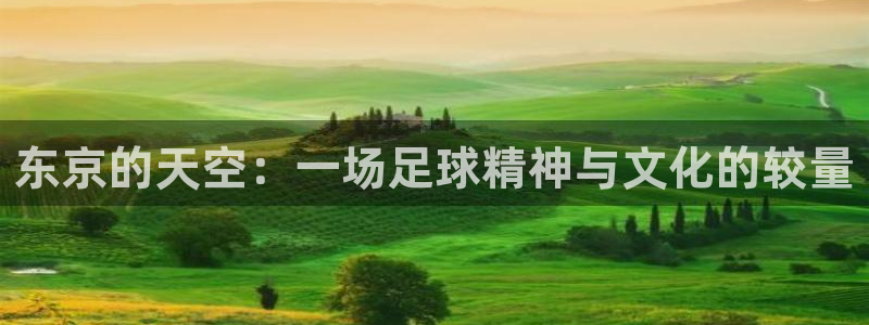 东京的天空：一场足球精神与文化的较量