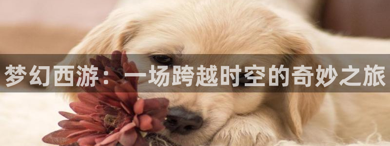 球友体育直播在线观看：梦幻西游：一场跨越时空的奇妙之旅