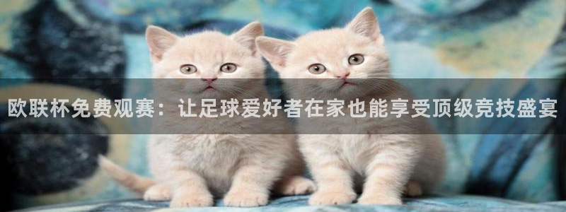 球友体育在线直播观看：欧联杯免费观赛：让足球爱好者在家也能享受顶级竞技盛宴