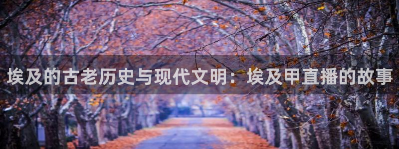 球友体育免费看nba：埃及的古老历史与现代文明：埃及甲直播的故事